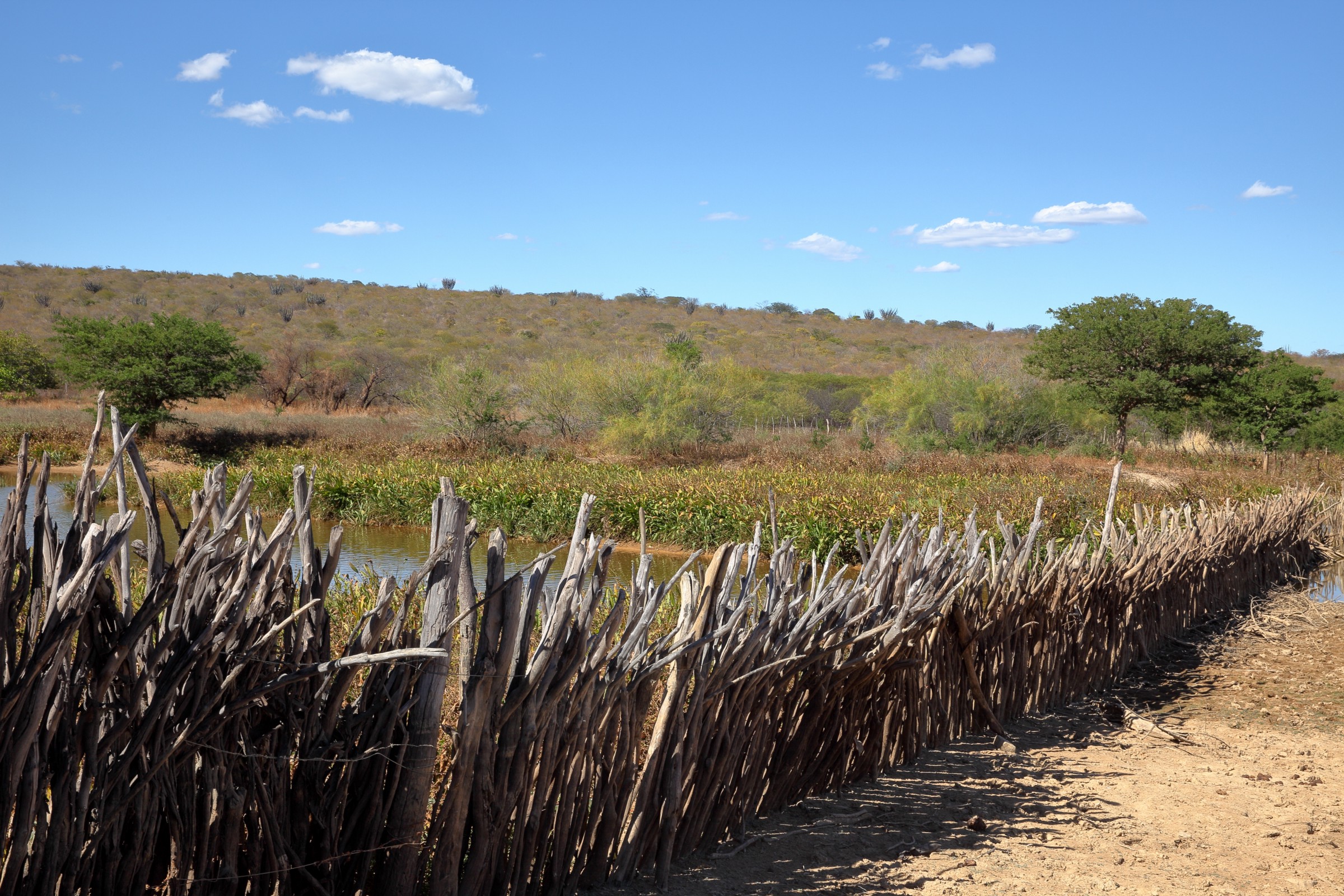 davi e golias na lavoura