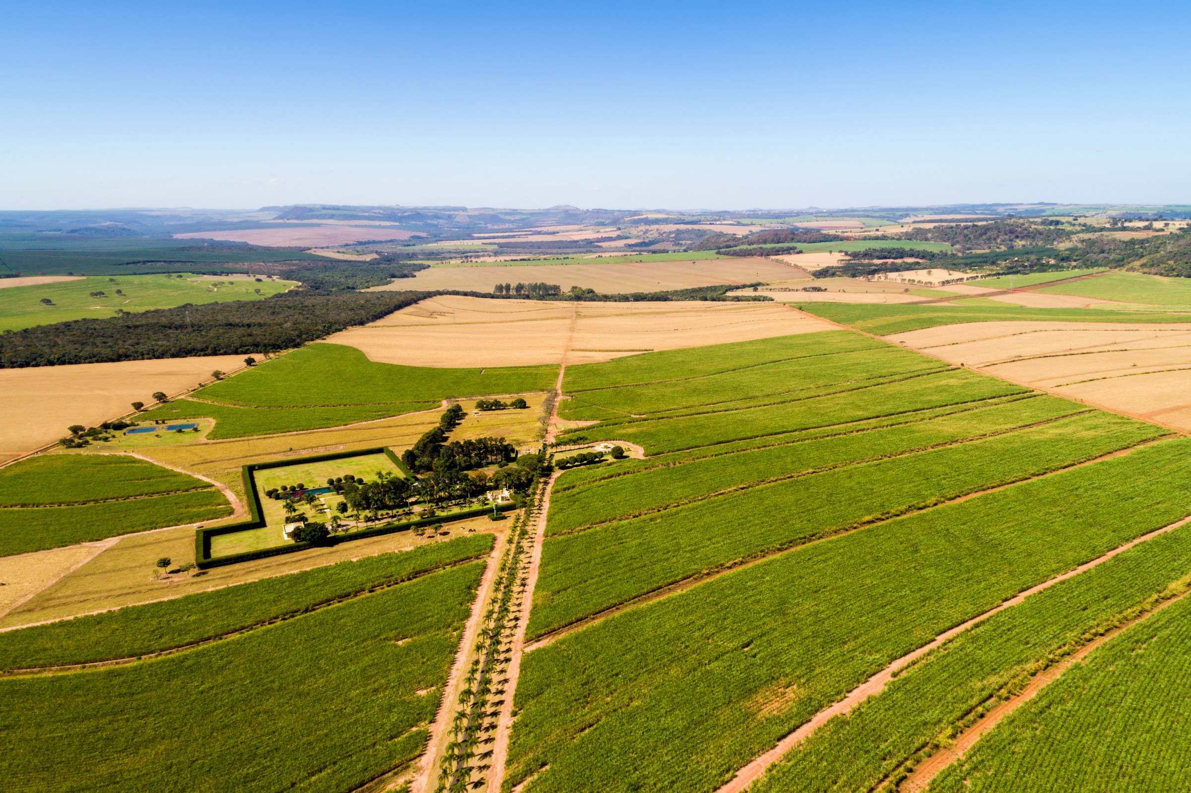 davi e golias na lavoura 2