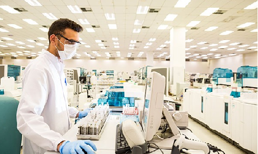 Projeto Pardini foto