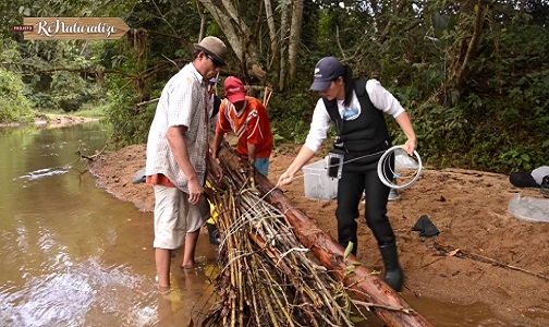 Proejto Renaturalize